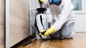 Emergency Pest Control in Grant, MI